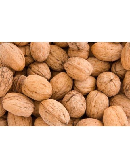 Noix en coquilles 3 kg